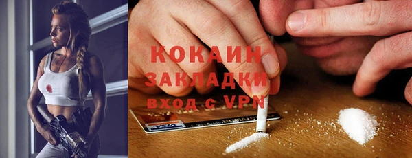 молекула духа Арсеньев
