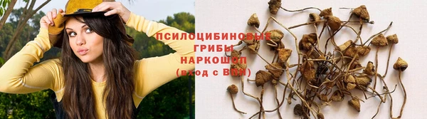 молекула духа Арсеньев