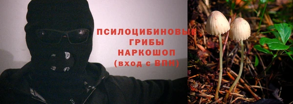молекула духа Арсеньев
