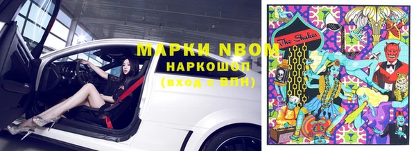 молекула духа Арсеньев